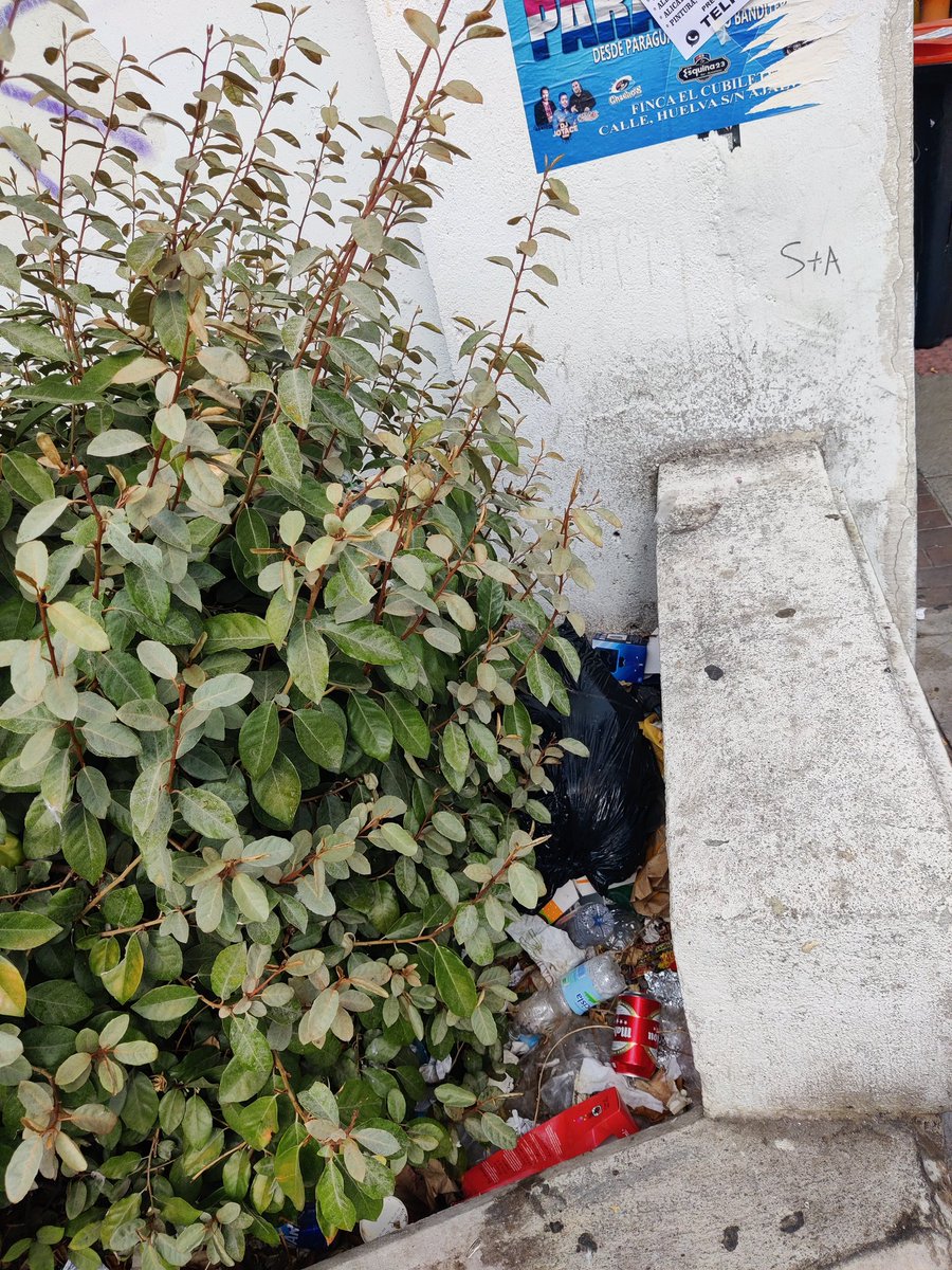 Marisa 🛰️ (@sarimacos) on Twitter photo .<a href="/Lineamadrid/">Línea Madrid</a>
Entorno del parque infantil Marqués de Viana esquina Bravo Murillo.
Incalificable! .<a href="/Lineamadrid/">Línea Madrid</a>
Entorno del parque infantil Marqués de Viana esquina Bravo Murillo.
Incalificable!
