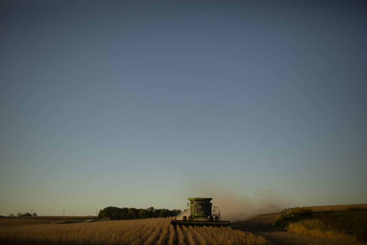 Behind every full combine and golden field, there’s a woman making it happen — in the cab, the kitchen, the office, or the field. This harvest, we see you and celebrate you. 🤎🌱