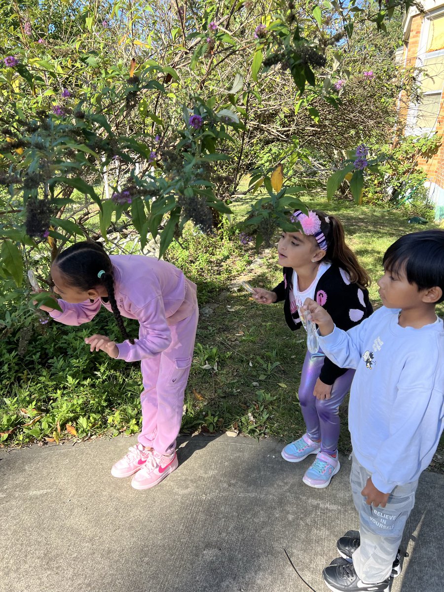 MWD Explore Class tweet media