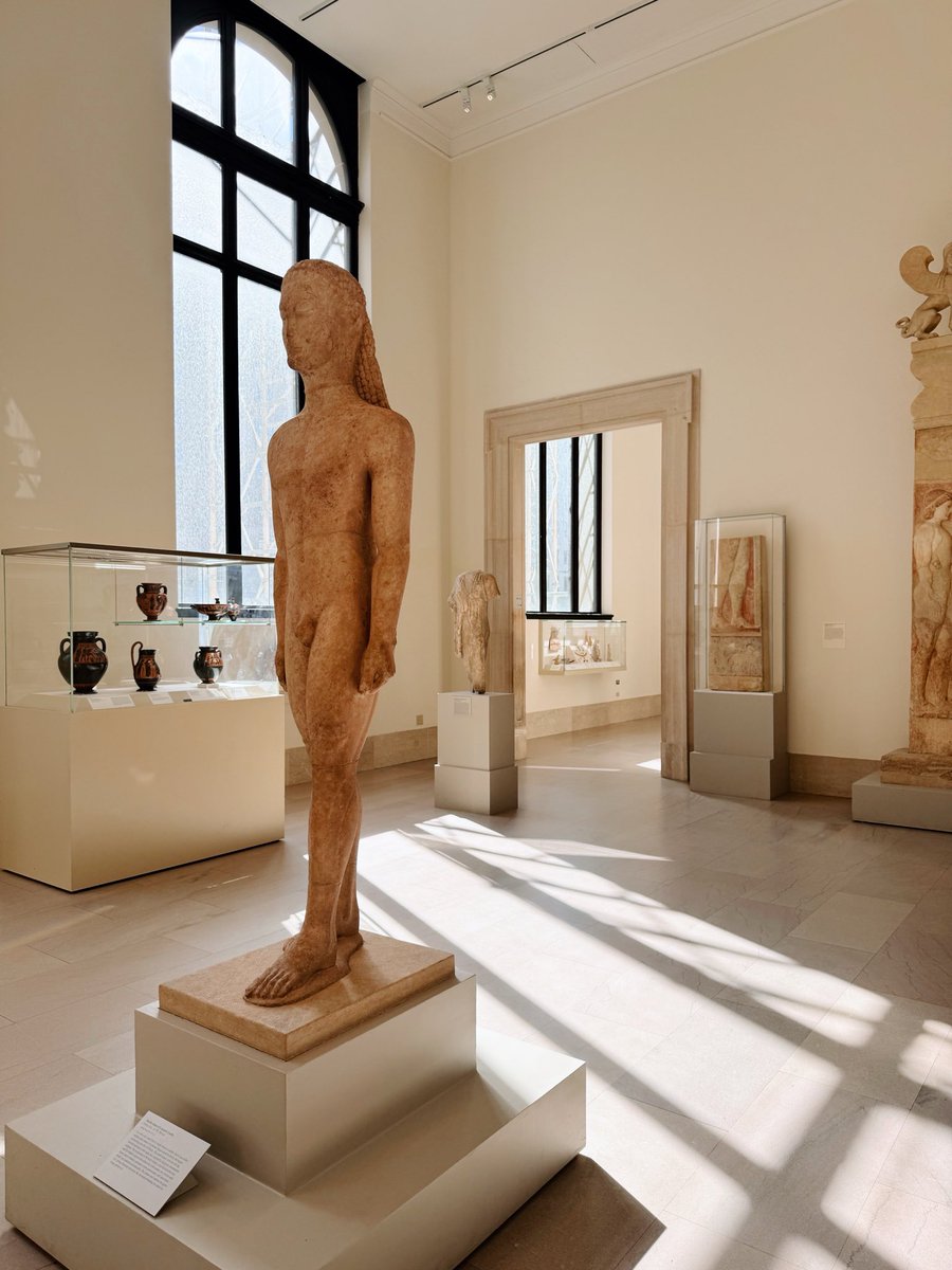 Meredith Brow tweet media