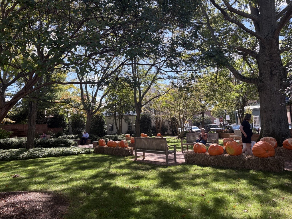 Renaissance Planning tweet media