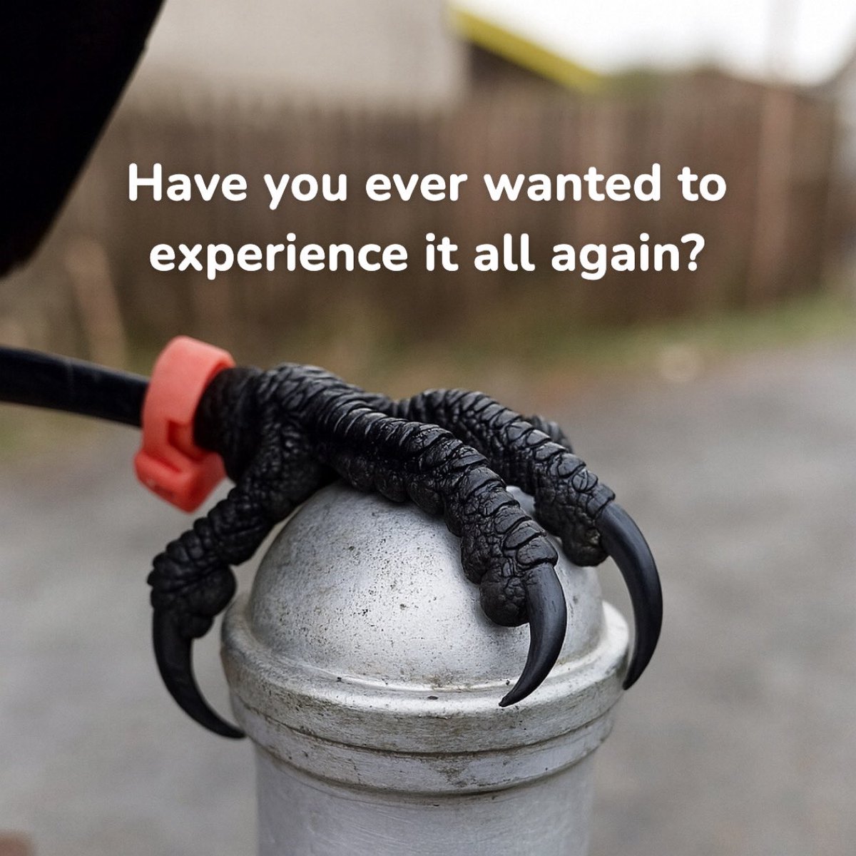 <a href="/cronoscrocrow/">CRO CROW</a> <a href="/wolfswapdotapp/">Wolfswap | Swap & Earn</a> <a href="/wolfswapwolfies/">Wolfies</a> caw caw caw