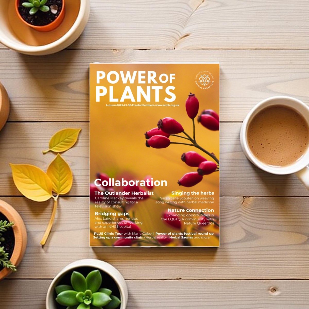The Autumn edition of our Power of Plants magazine is out soon! 🍂  📖

#theinstitute #herbalist #medicalherbalist #herbalism #herb #herbs #plants #powerofplants #wellbeing #herbalmagazine #rarediseases #unusualillnesses #FeelBetterSeeAHerbalist #Winter #magazine #naturelover