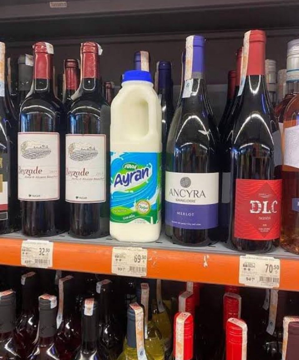 Anıtkabir'de poz veren türbanlı abla.

(Temsili)