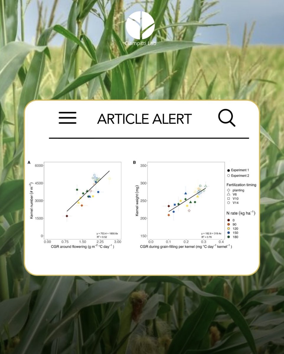 Ciampitti Lab tweet media