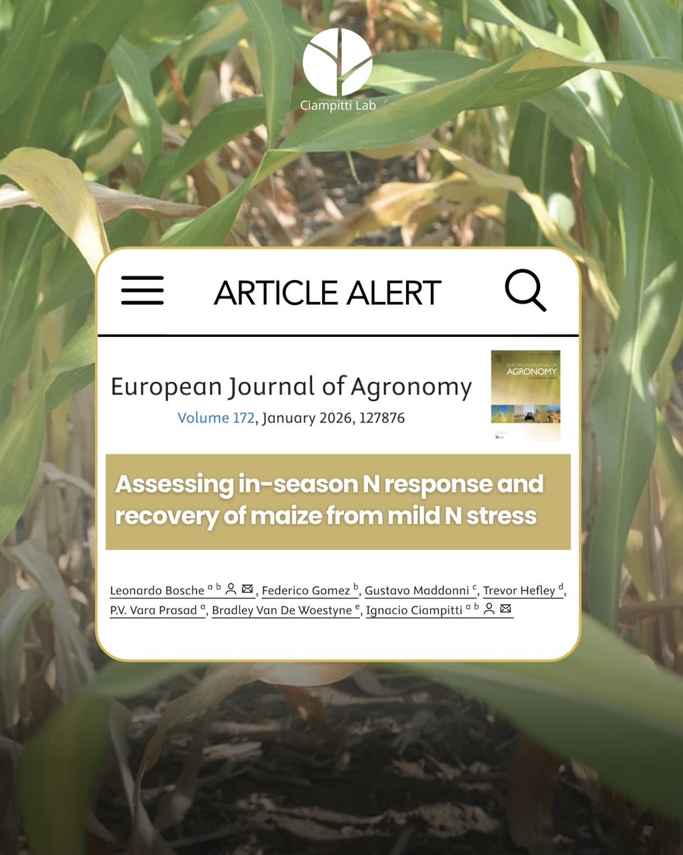 Ciampitti Lab tweet media