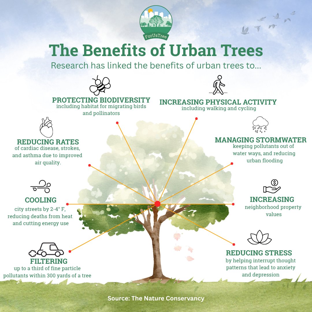 HARCresearch's tweet image. 🌳 Urban trees do more than beautify—they clean the air, cool neighborhoods, support health, and boost property values. 

At HARC, we help communities plant &amp;amp; care for trees through the ForUsTree initiative. 🌱 

🔗 Get involved: forustreehtx.org 

#ForUsTree
