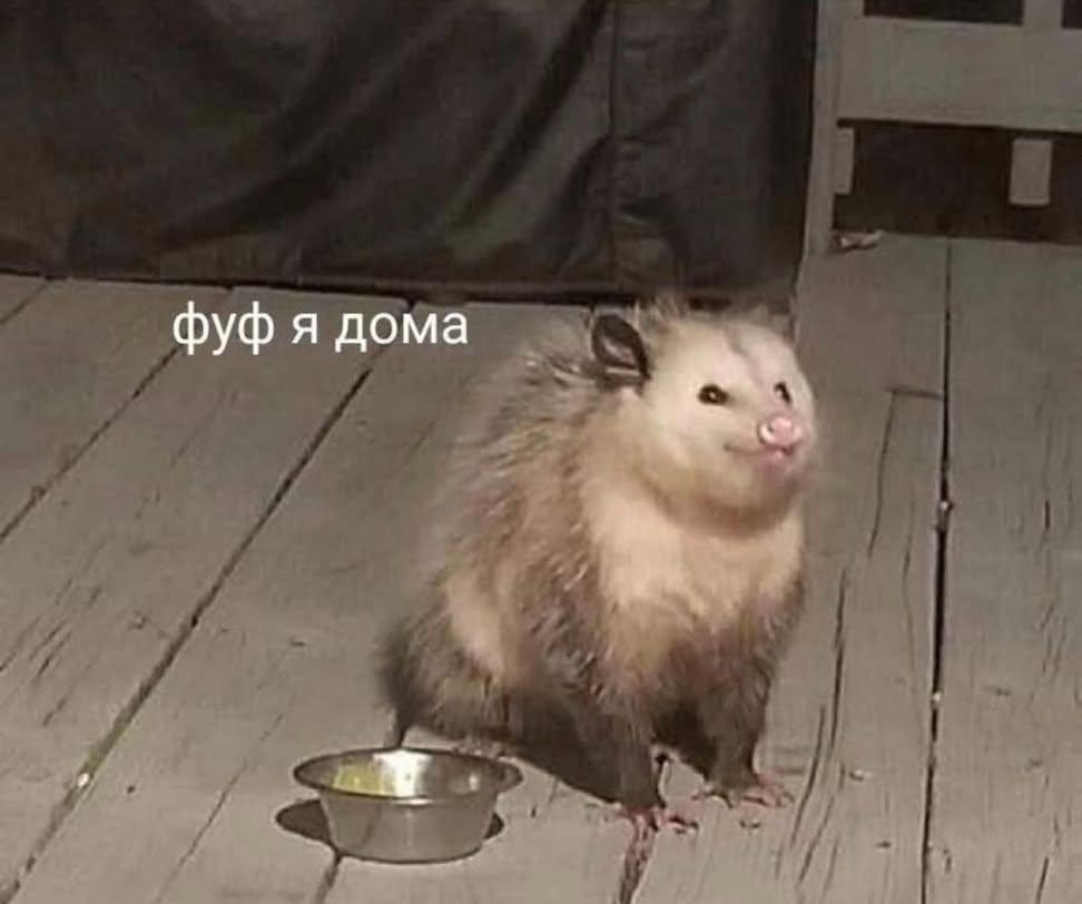 Алёшка tweet media