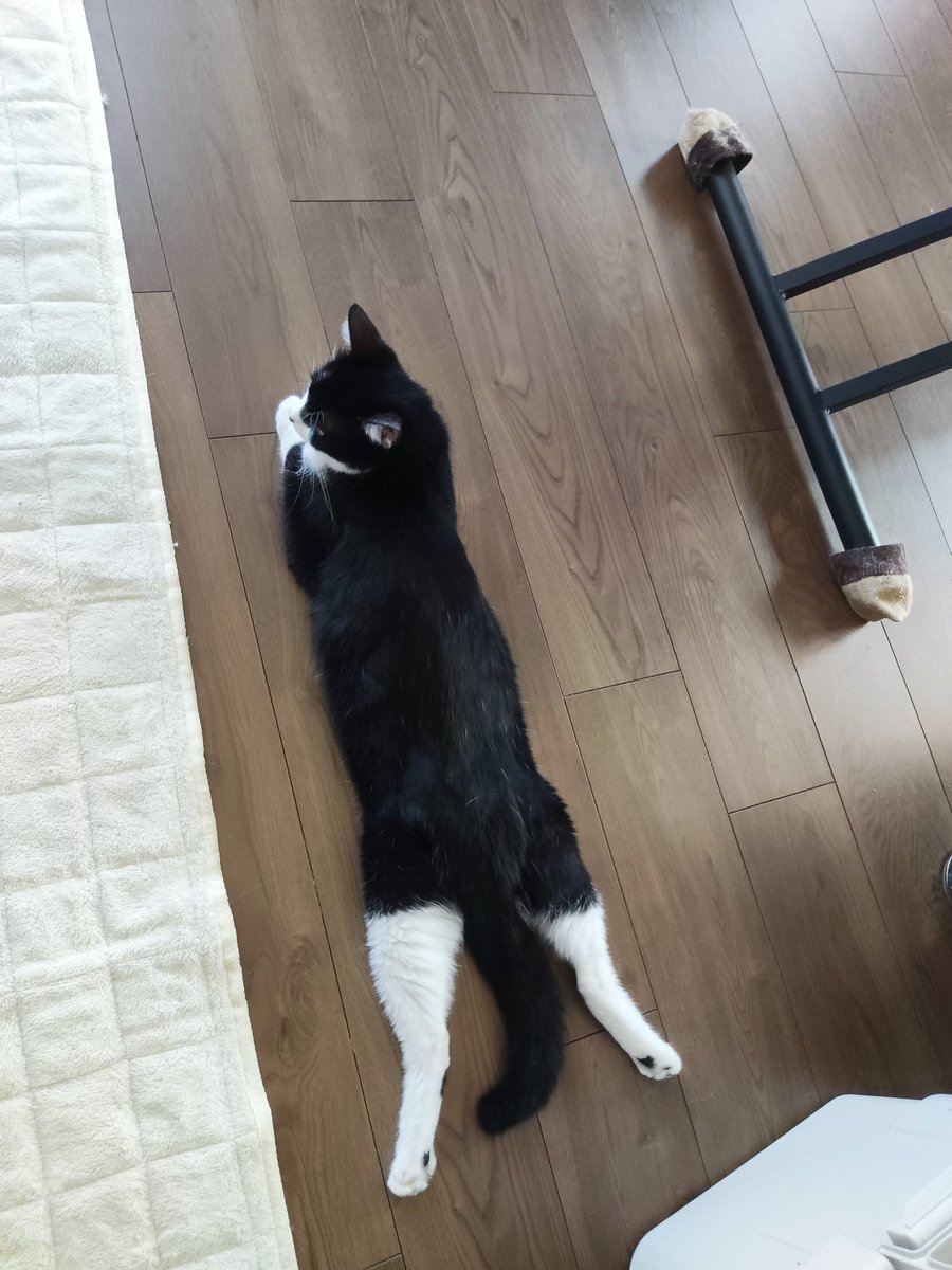 #ユキノアマオ