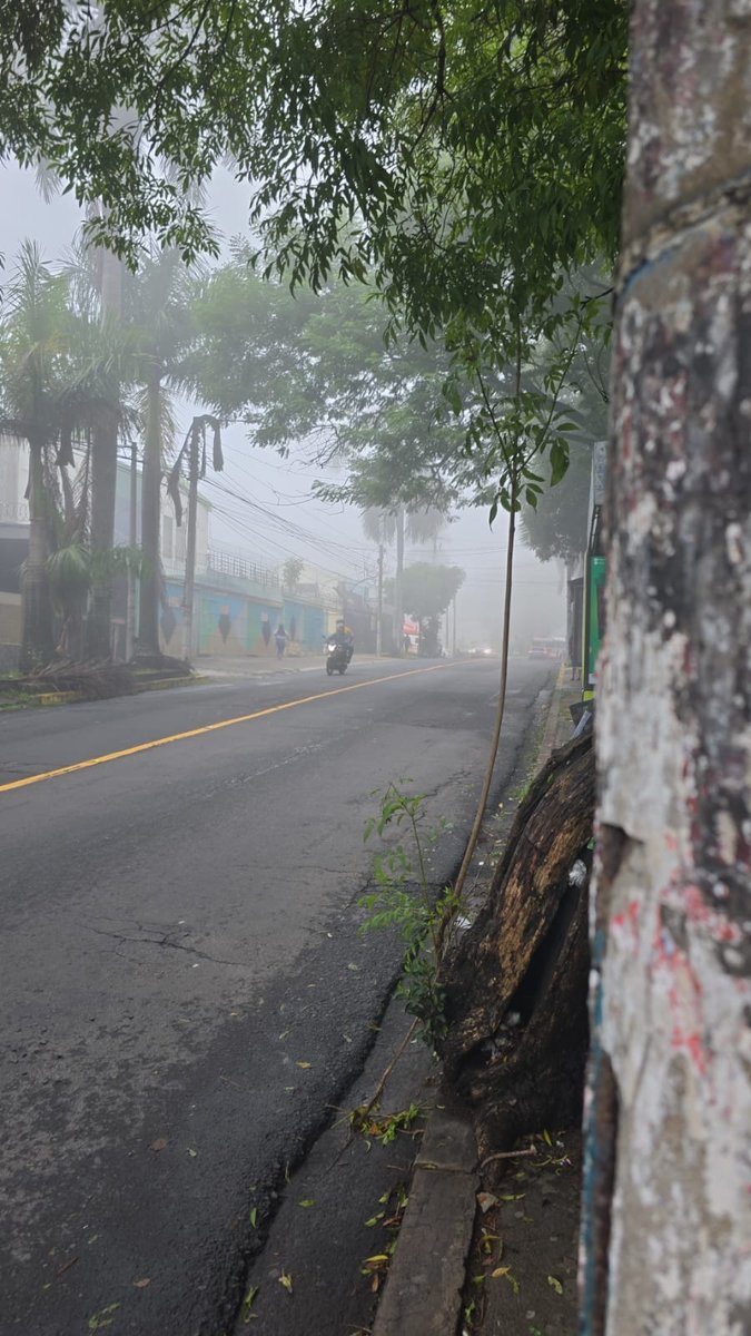 マリオくん 😬🐱🐱🐱🐱🐱 tweet media