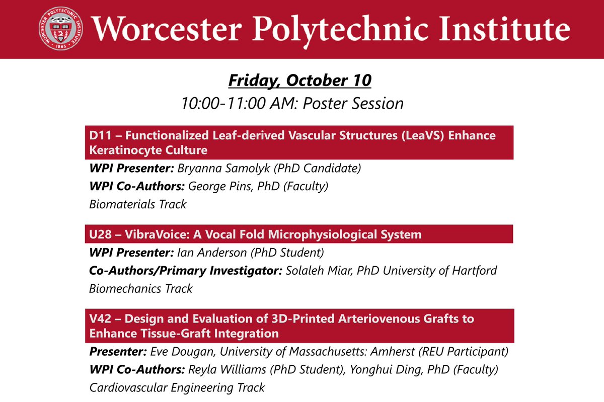 WPI Biomedical Engineering Department tweet media