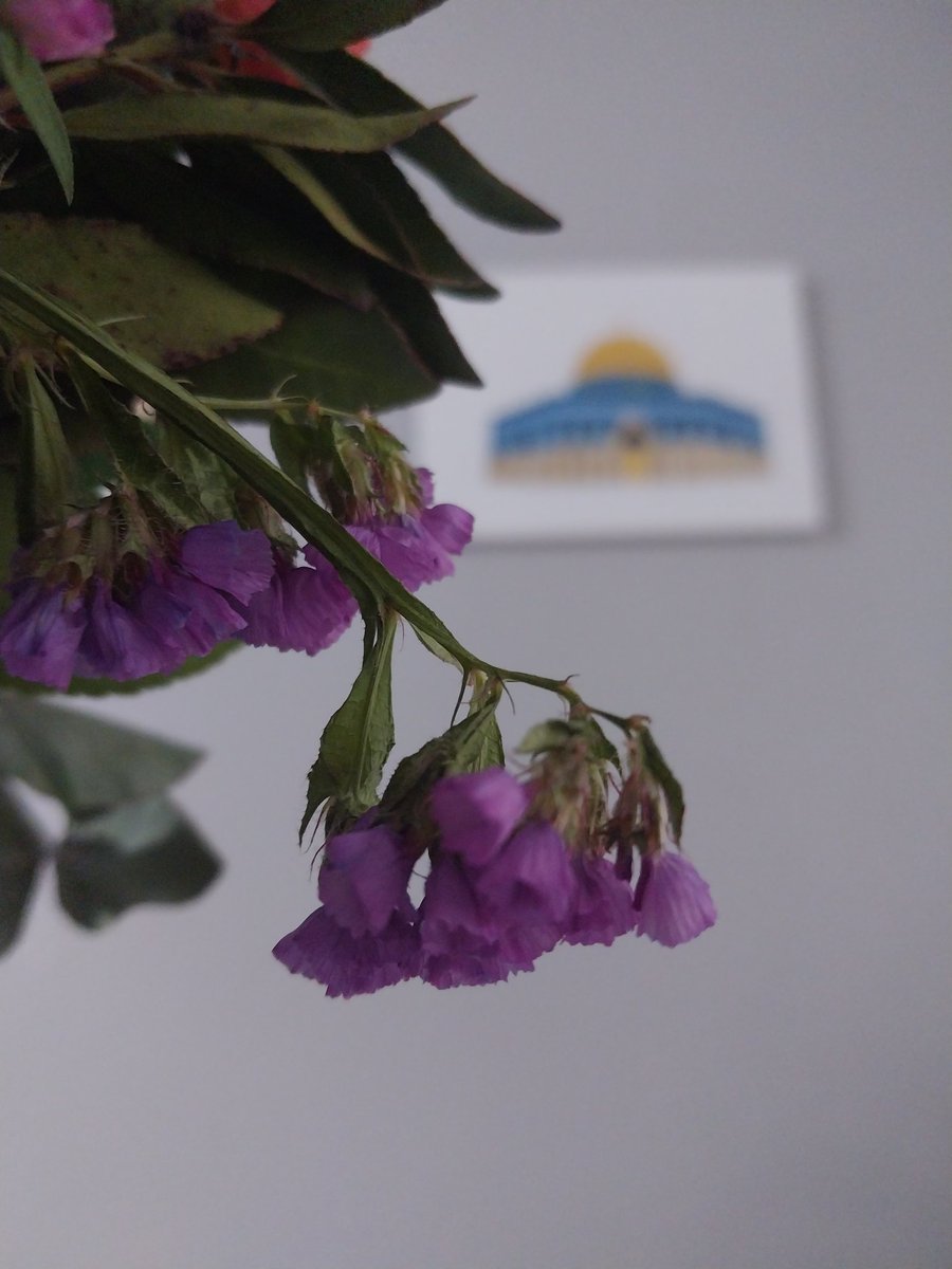 Yolum oraya hiç varmadı.
Ama zaten kalbim hep orada ...
#Palestina