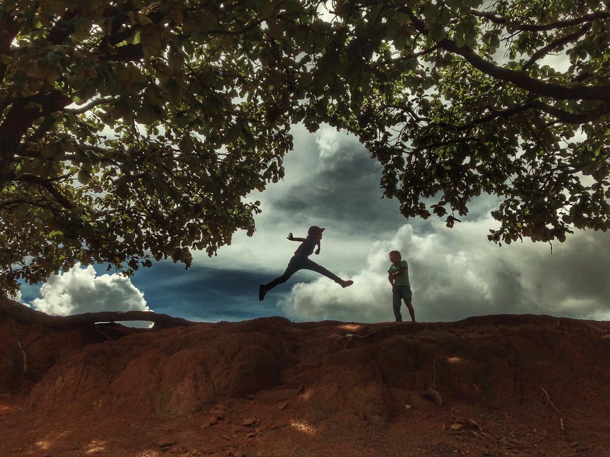 Adrián Pedrozo-Acuña tweet media