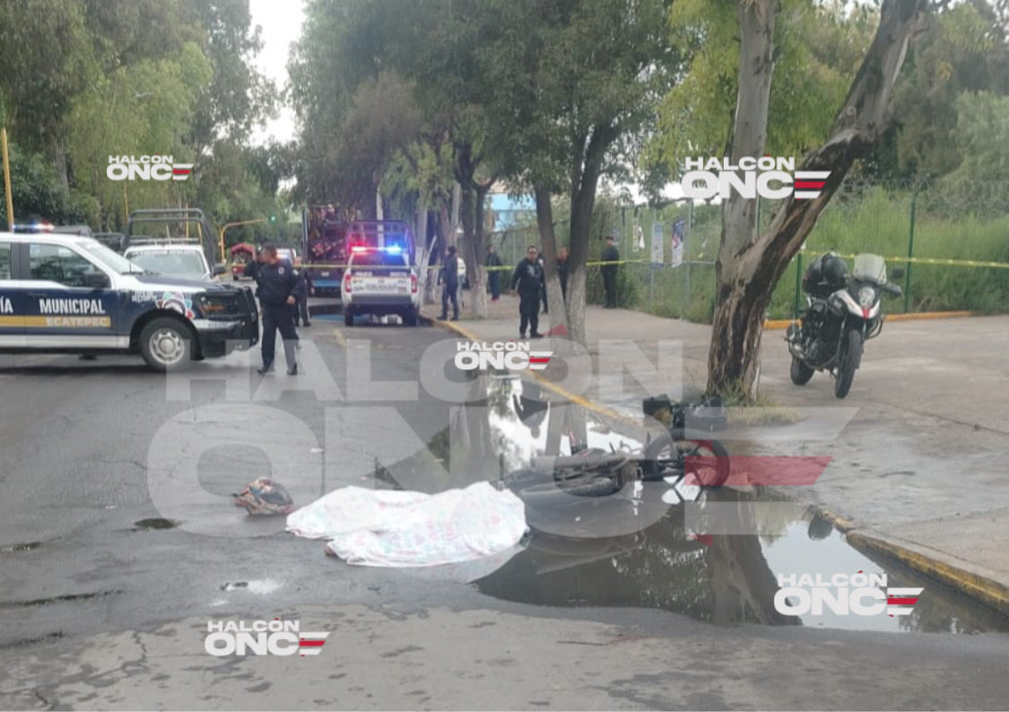 HalconOnce's tweet image. Tragedia en #Ecatepec

Dos menores de 10 y 6 años murieron tras ser arrollados por un camión con plataforma en Av. López Mateos, casi esquina con Av. México, en Jardines de Cerro Gordo.

Viajaban en moto con su padre, se detuvieron frente al Banco del Bienestar para retirar…