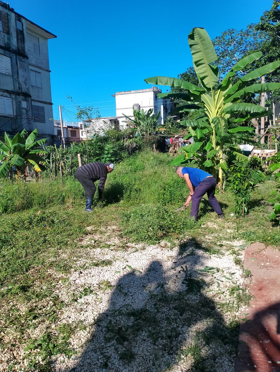 YaniselSanchez4's tweet image. Hoy 10 de octubre  vecinos del edificio 6 y 7 del reparto Ortiz en labores de higiene y limpieza para tratar de combatir a los 🦟ya que en estos edificios hay muchas personas enfermas con las arbovirosis.
Estos es tarea de todos💪
#HigieneYSalud 
#LatirAvileño