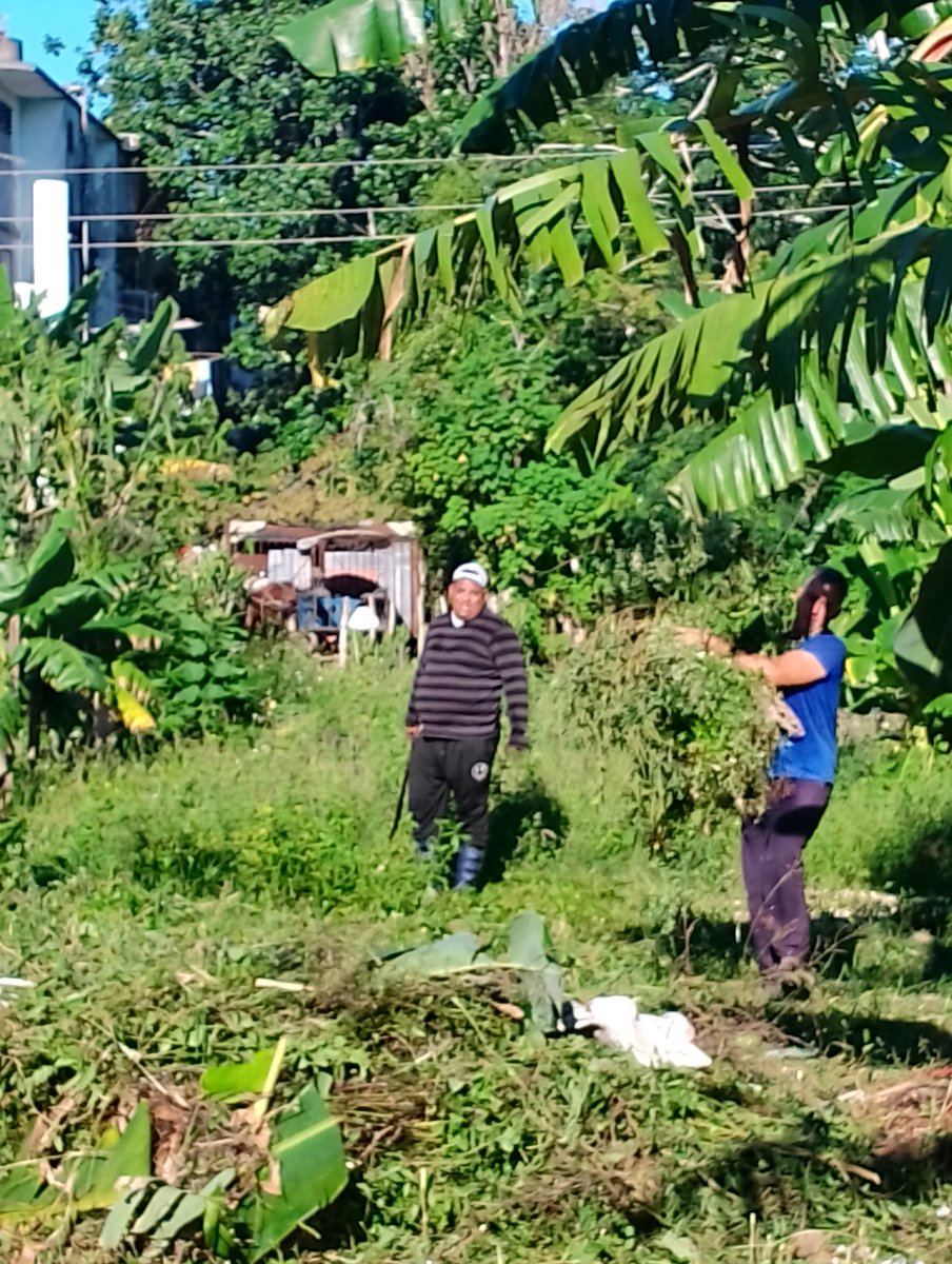 YaniselSanchez4's tweet image. Hoy 10 de octubre  vecinos del edificio 6 y 7 del reparto Ortiz en labores de higiene y limpieza para tratar de combatir a los 🦟ya que en estos edificios hay muchas personas enfermas con las arbovirosis.
Estos es tarea de todos💪
#HigieneYSalud 
#LatirAvileño