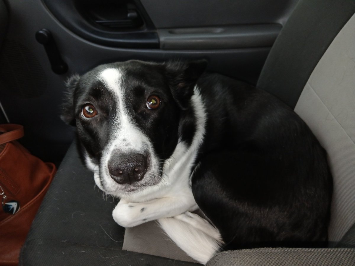 ⚡️𝗚๏๒๒𝗟Σⓢ⚡️Undercover Alien Agent🛸😎🖖 tweet media