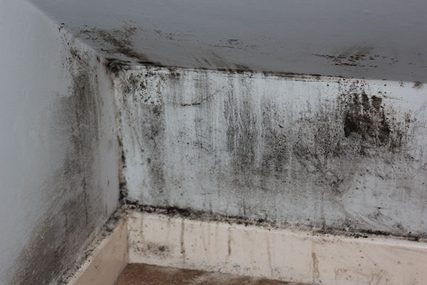 Outdoctrination's tweet image. Why mold is suddenly destroying you:
One of THE MOST IMPORTANT determining your susceptibility to mold illness is the HLA genes.
HLA are proteins that "present" toxins / pathogens to the immune system for clearance.
Certain gene variants of this protein make you worse at…