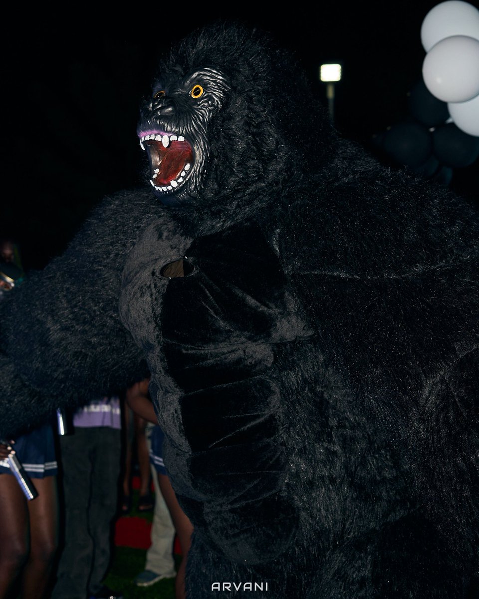 heismicmade's tweet image. MADE FESTIVAL 2025 @madefest2.0 DONE AND DUSTED.
-
#micmade #madeset #madetheplug #madefest