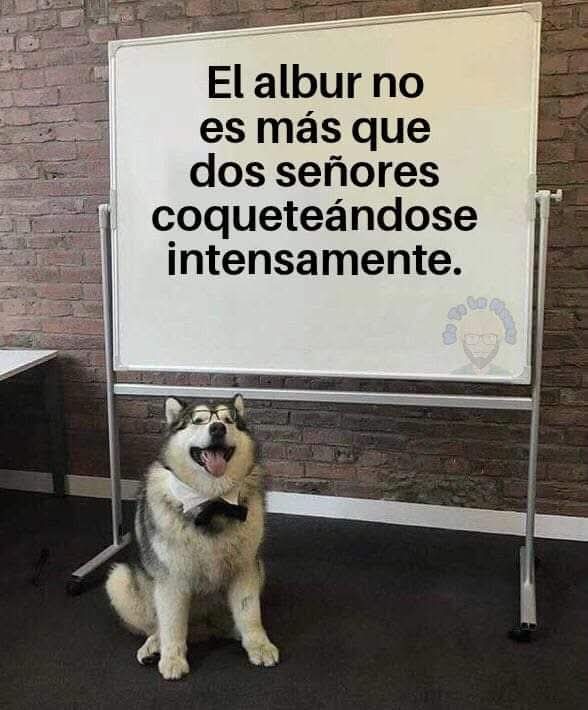 elRubsRamone's tweet image. Muuuuuuy buenos días poderosos
Ya es viernes!!
@ruleiro @eltalcha 
#ÉpicoPoderoso 
Jajajaaj achis... es Gorillaz? 
No me encantó, pero no suena mal jaja
Ya mejor que suene tormenta de gorillaz con el conejo malo