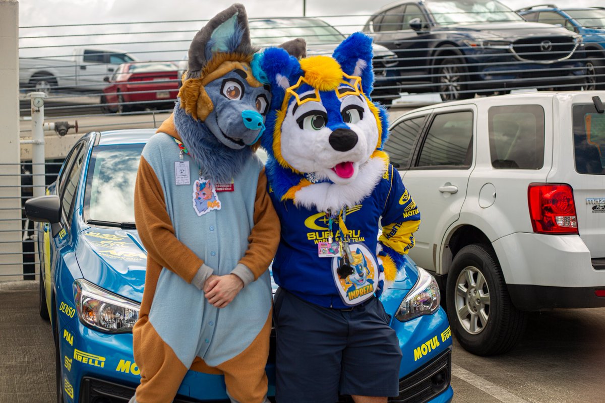 ImprezaTheWolf's tweet photo. RallyFurs!! 💙💛✨️
Feat.: @RossFoxHusky
📸: @furthebiscuit
#FursuitFriday #furry #furries #furryfandom #fursonas #fursuit #fursuiter #fursuiting #subawoo #subuwu #Subaru #megaplex #megaplex2025 #Megaplexcon #Orlando #florida #subaruwrc #cosplay #mascot #fursuiters #wrc https://t.co/rFhxXQyRoG