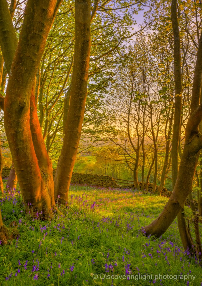 Disc_light's tweet image. I make no secret of the fact i struggle with mental health
 Outwardly noone can tell so always be kind to others. photography though really helps my mental health thats for sure! #EndTheStigma #WorldMentalHealthDay