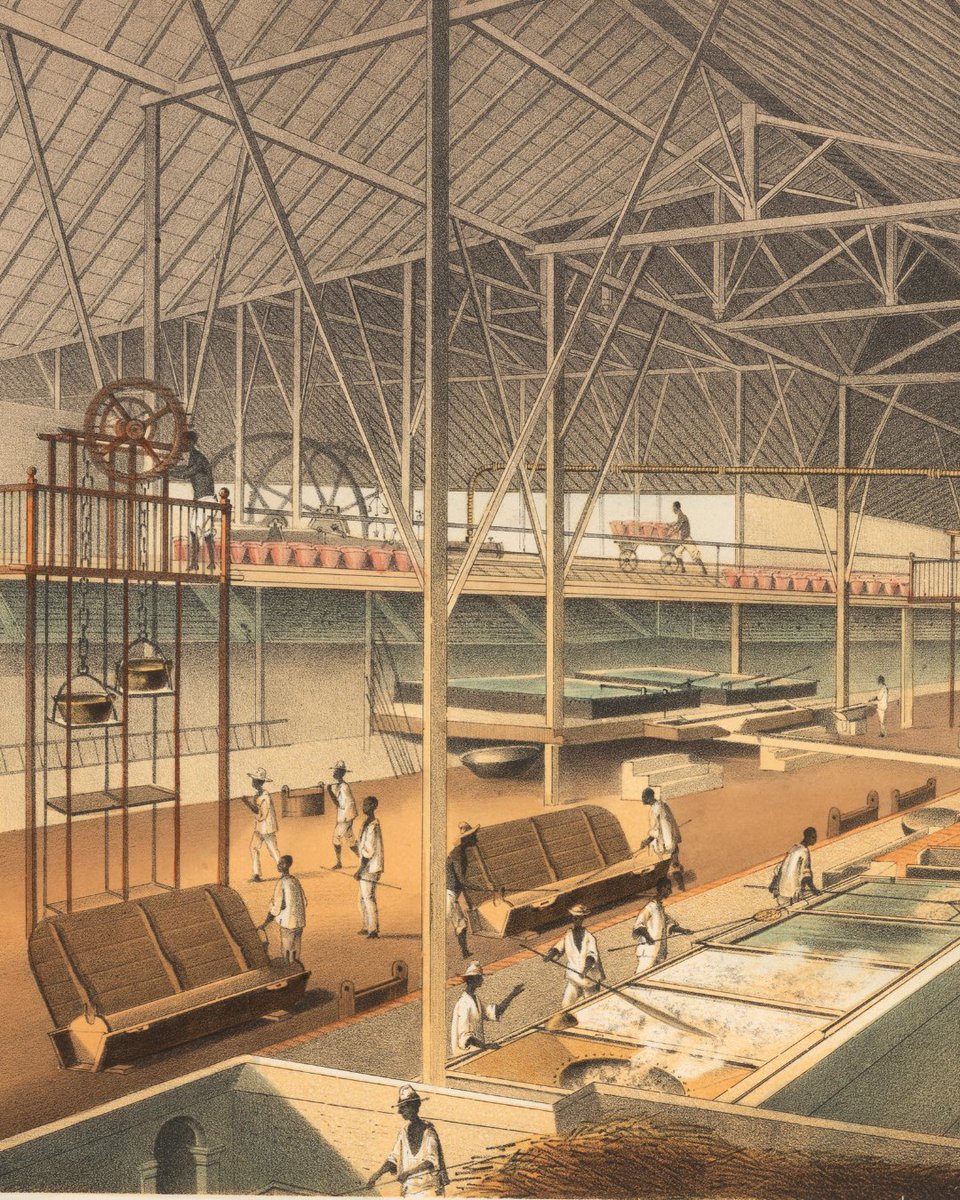 Què en sabem de l’esclavitud a Cuba? Esbozando la esclavitud en Cuba: un negocio de larga duración 1503-1866

María del Carmen Barceia Zequeira, Doctora en Ciències Històriques, catedràtica de la Casa de Altos Estudios Fernando Ortiz de la Universidad de la Habana i autora del