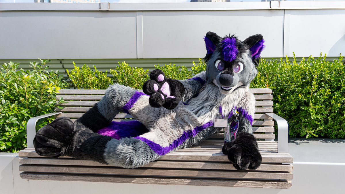 Valckan 🔜 FWA (@valckan) on Twitter photo Lets cuddle all weekend💜
#FursuitFriday 
📸 <a href="/Moffix05/">Moffix</a> 
🪡 <a href="/Fullmoonspecial/">✨Full Moon Special✨</a> Lets cuddle all weekend💜
#FursuitFriday 
📸 <a href="/Moffix05/">Moffix</a> 
🪡 <a href="/Fullmoonspecial/">✨Full Moon Special✨</a>