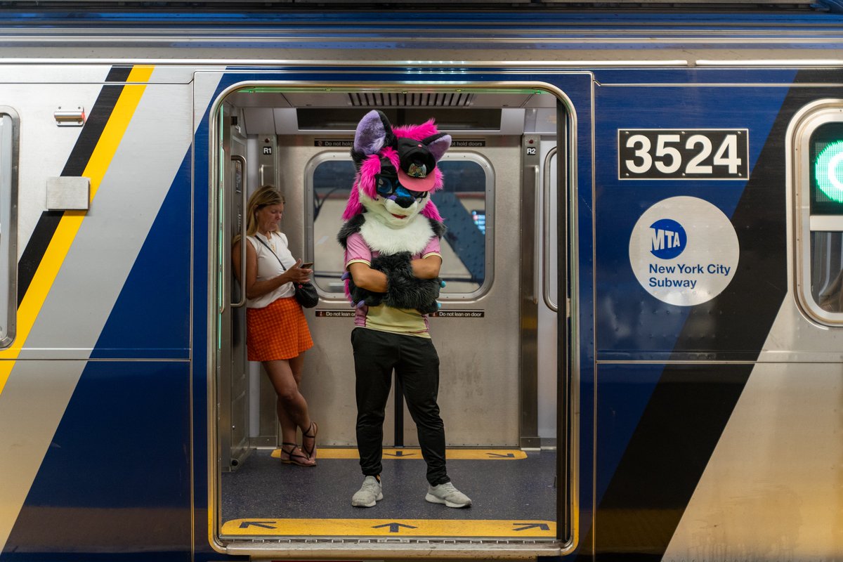 You coming? 

#FursuitFriday
📸<a href="/TourenFox/">Touren‼️‼️‼️</a>