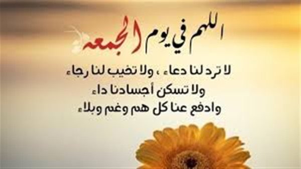 عبدالله الودعاني الدوسري (@abdulla45621632) on Twitter photo 
