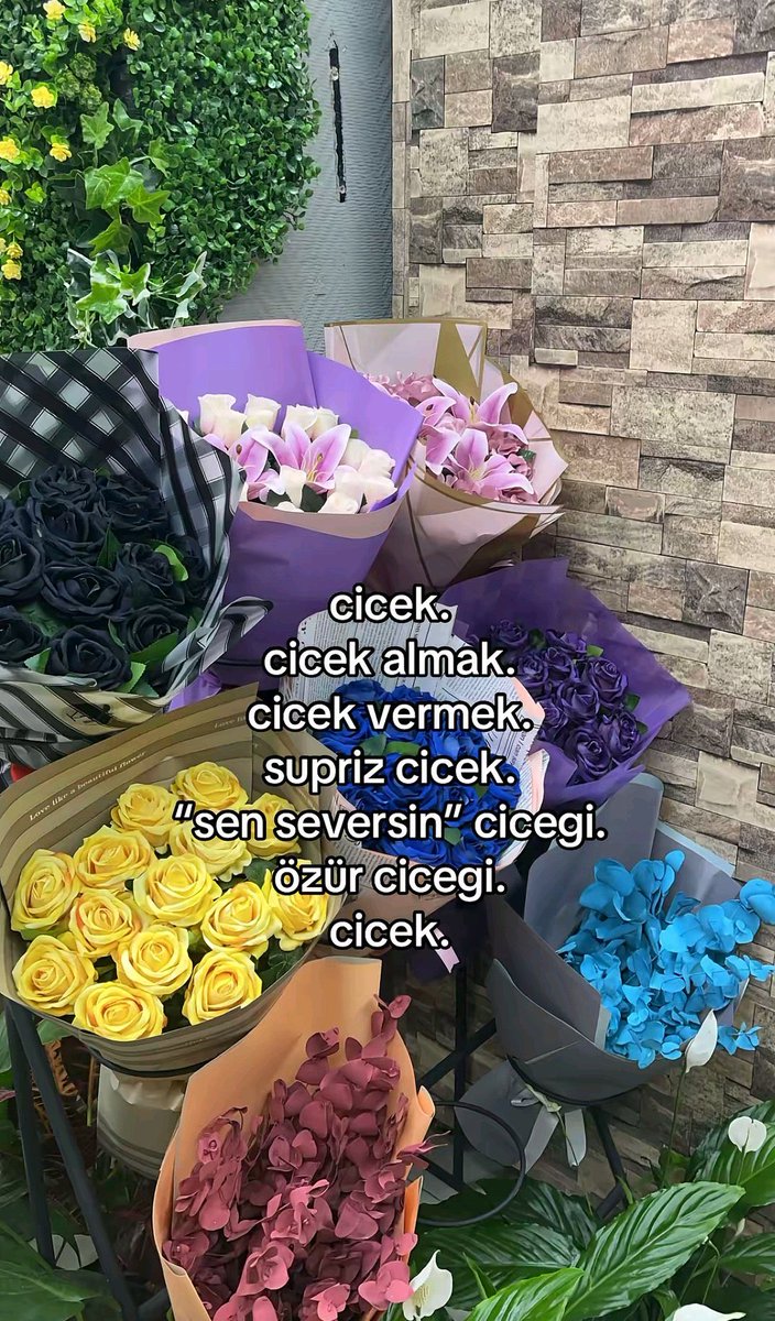 miyavdesenn's tweet image. 