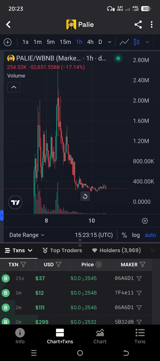 lBullBearl's tweet photo. New call: $Palie was sold out in 3 days, but it was bought back at those very prices. I'll take a closer look at it. #Palie #BSC #memecoin1000x #PancakeSwap https://t.co/fPpu0edFLI