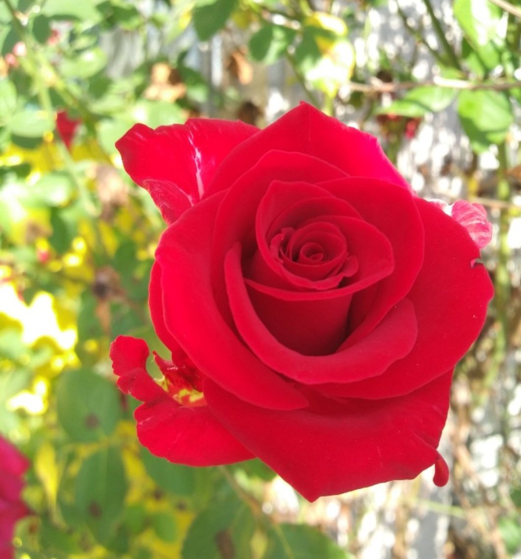 <a href="/henrylau89/">HENRY LAU</a> 헨리 생일 축하해요🎉🎂🎊
#appyНenryDay 
#헨리생일축하해요 #CloserToHenry
#HENRY #헨리 #HENRYLAU #언제나 #응원해 <a href="/henryl89/">Henry Lau 刘宪华</a>