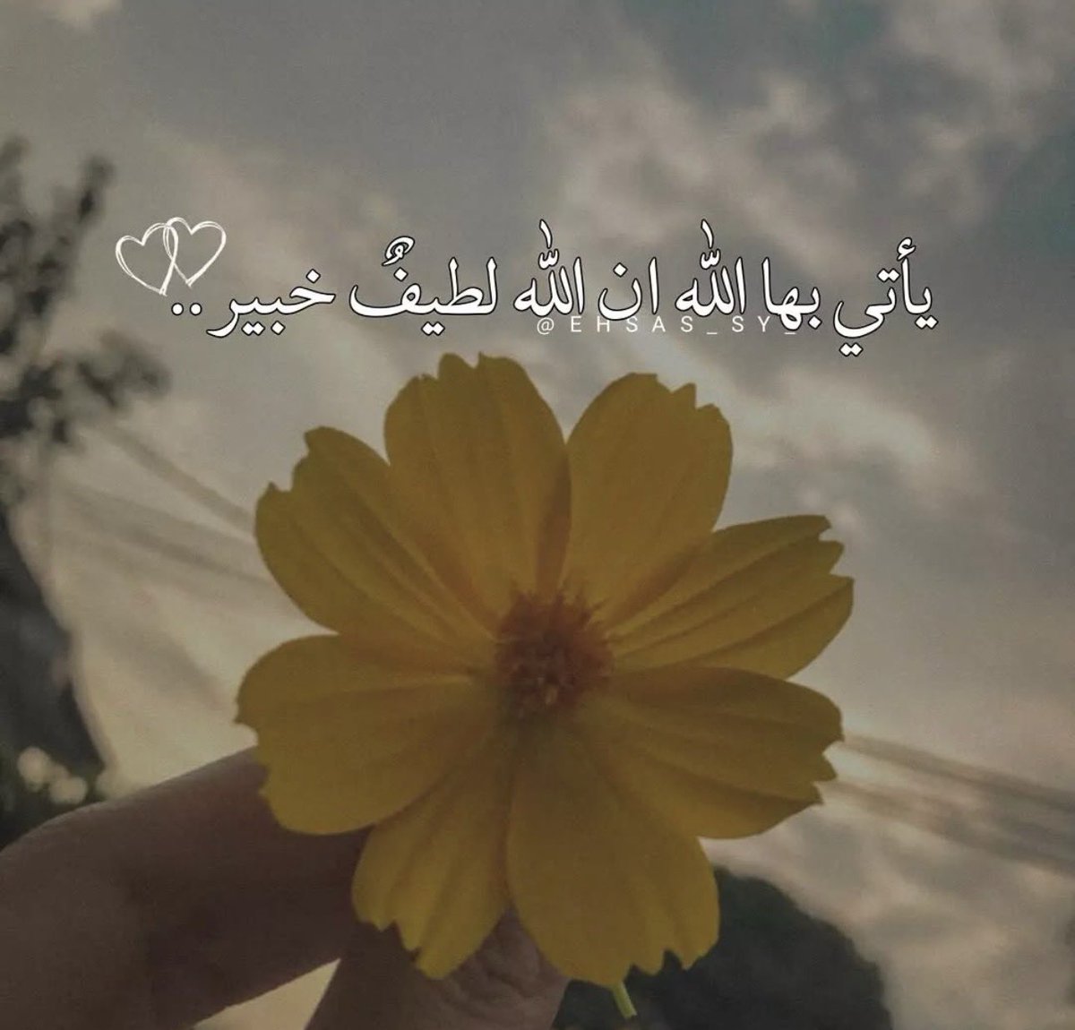 يأتي بها الله ان الله لطيف خبير💛