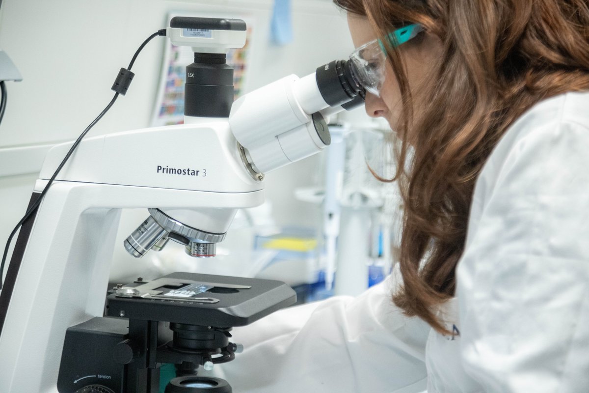 📈La UCAM vuelve a destacar en transferencia de conocimiento e internacionalización

👉World University Rankings 2026 de <a href="/timeshighered/">Times Higher Education</a>  así lo recoge tras evaluar a 2.191 instituciones de 115 países

🔗ucam.edu/noticias/ucam-…