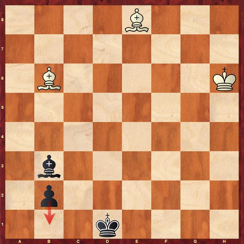 The Zugzwang Blog - Daniel Muñoz tweet media