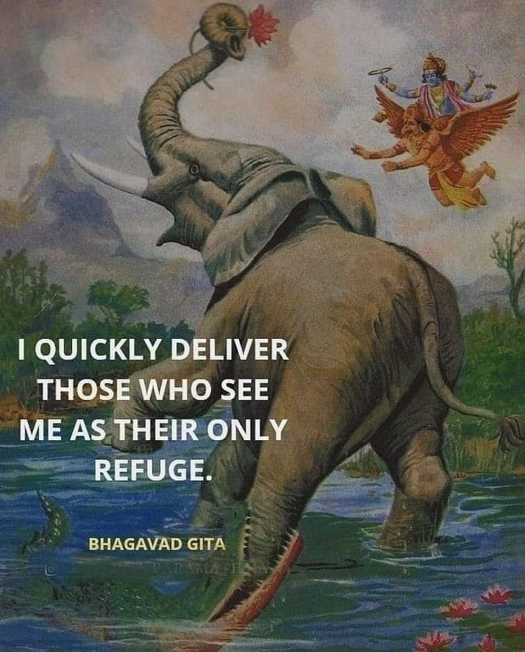 GitaShlokas's tweet image. 