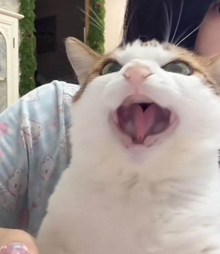 When I get home I'll just do some art see if I can draw anything today.