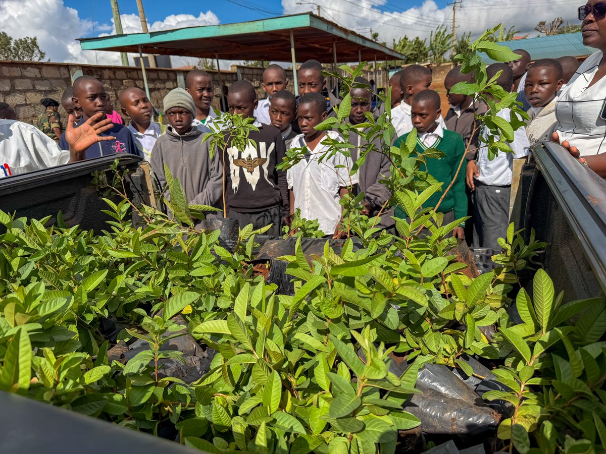 State Department for Blue Economy and Fisheries tweet media