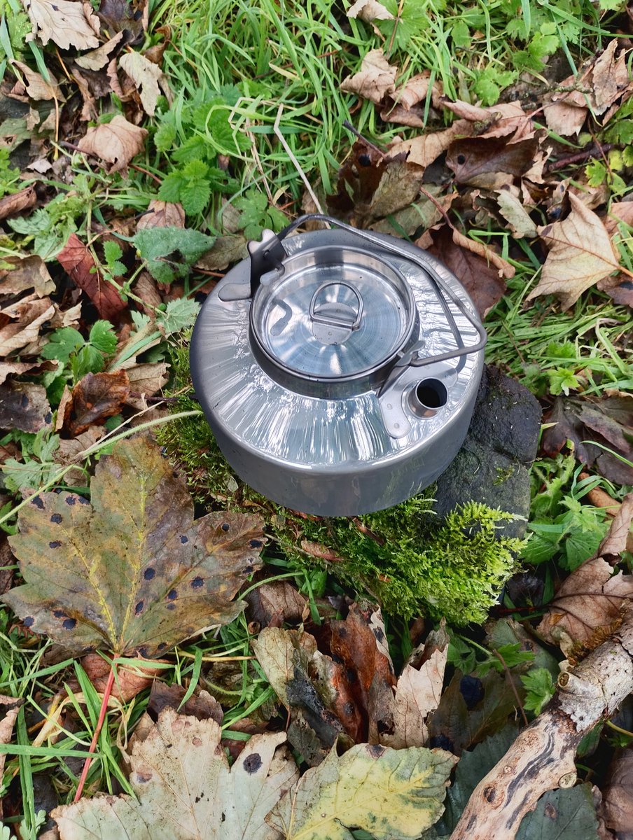 Today we had a great time outdoors learning during our Forest School Friday session. 🔥 Hot tea on a cold day outside is the best. ☕