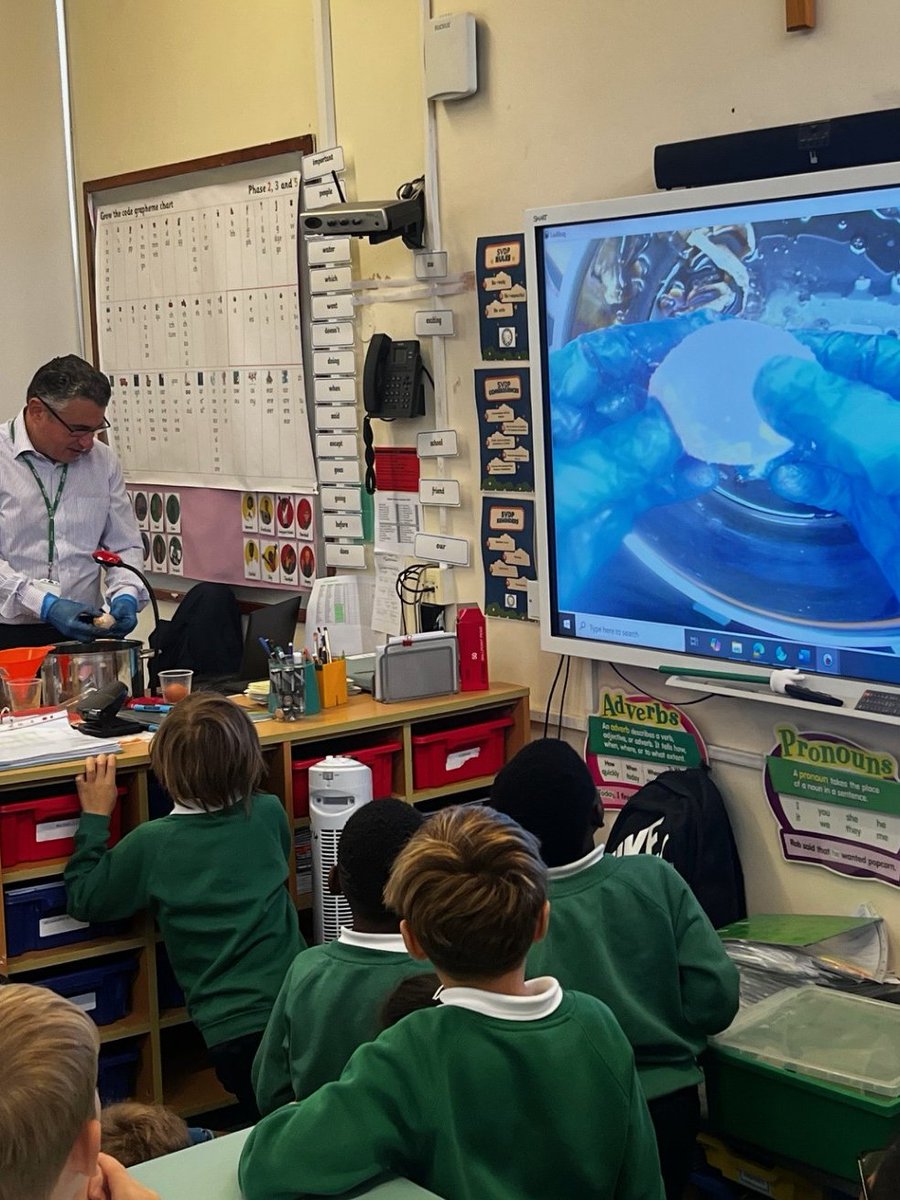 Year 4
Science
Today the classes joined together to find out the results of our Science experiment.  We couldn't believe the damage that some of the liquids did to the egg shells.  We must remember to brush our teeth!