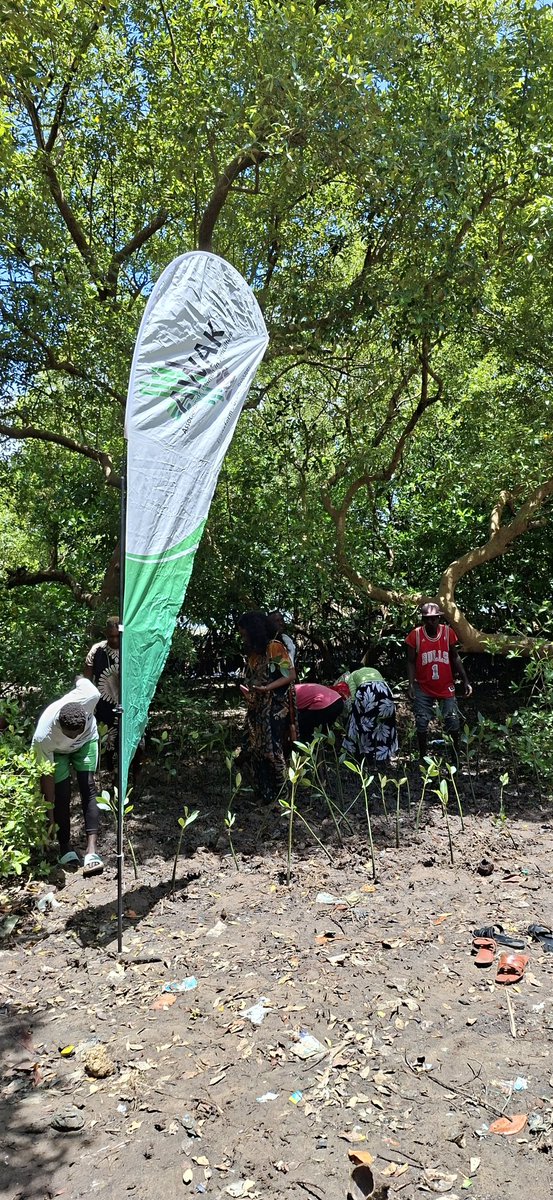 AWAK - Association of Women in Agriculture Kenya tweet media