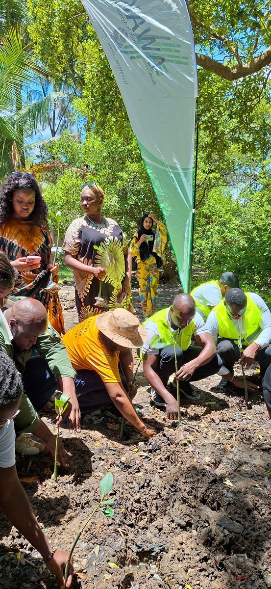 AWAK - Association of Women in Agriculture Kenya tweet media