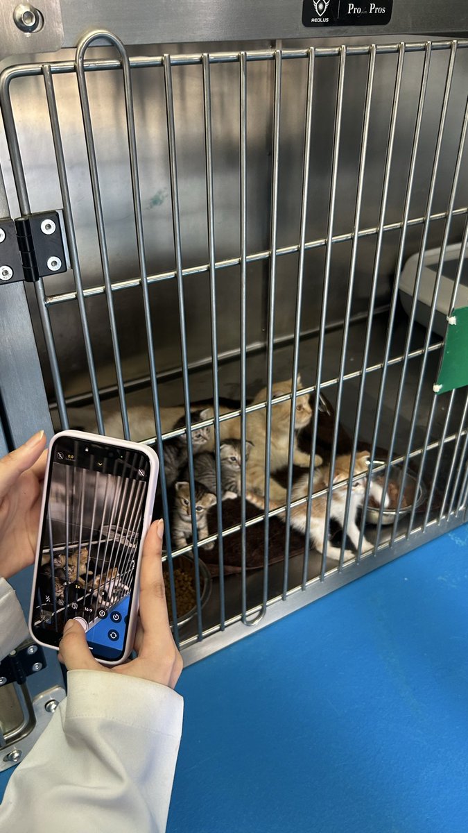 _wt73's tweet image. Week 3 ✅