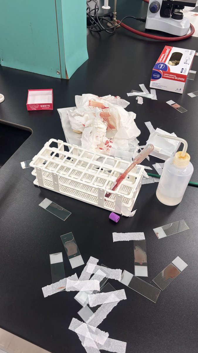 _wt73's tweet image. Week 3 ✅