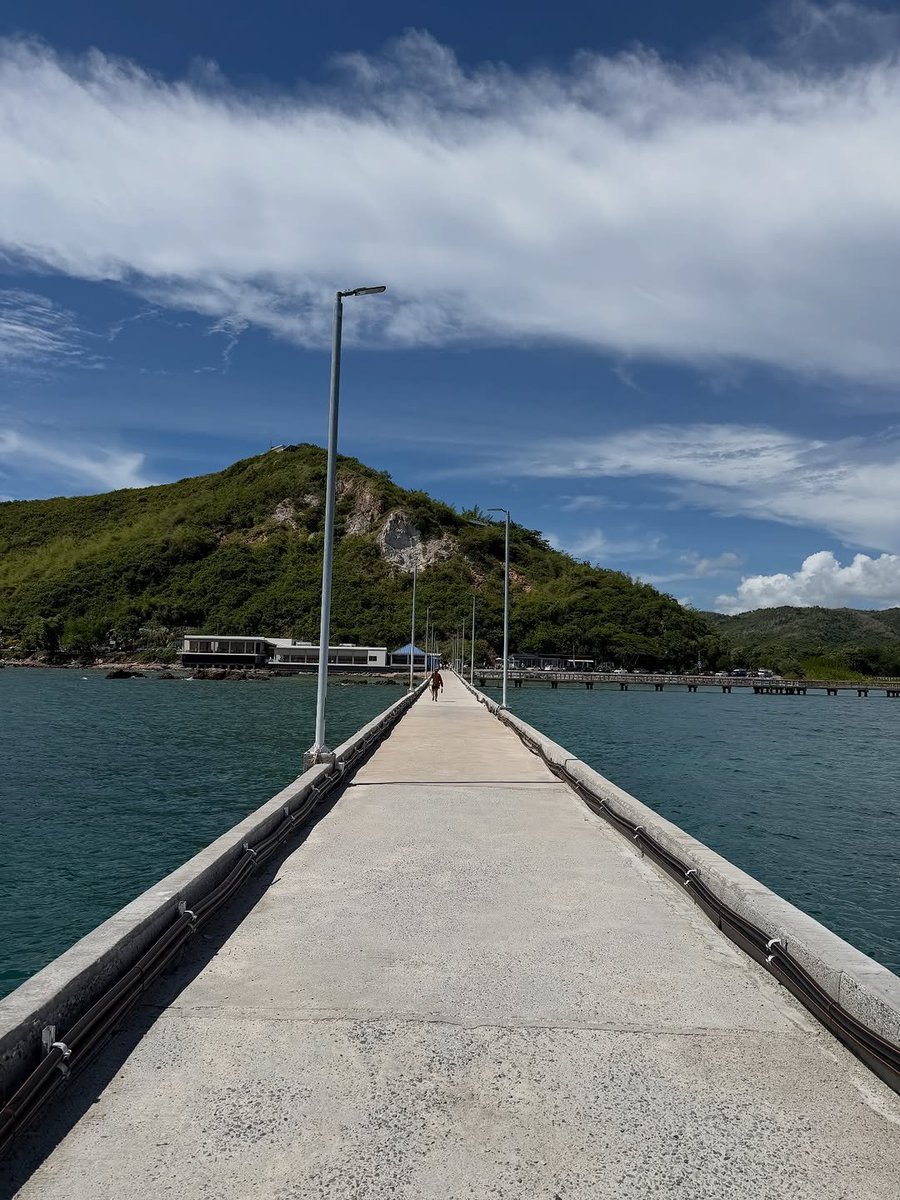 ︎ ︎ ︎ ︎ ︎ ︎ ︎ tweet media