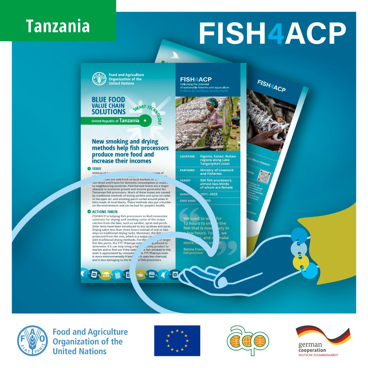 FAOfish's tweet photo. In 🇹🇿 Tanzania, solar drying tents are helping fish processors increase production, cut losses &amp; raise incomes.

Read how this #FISH4ACP innovation is driving #BlueTransformation across the value chain 👉 https://t.co/BXE6ySYt1p

@BMZ_Bund @EU_Partnerships @PressACP

#SIF2025 https://t.co/OBOUAFgQI7