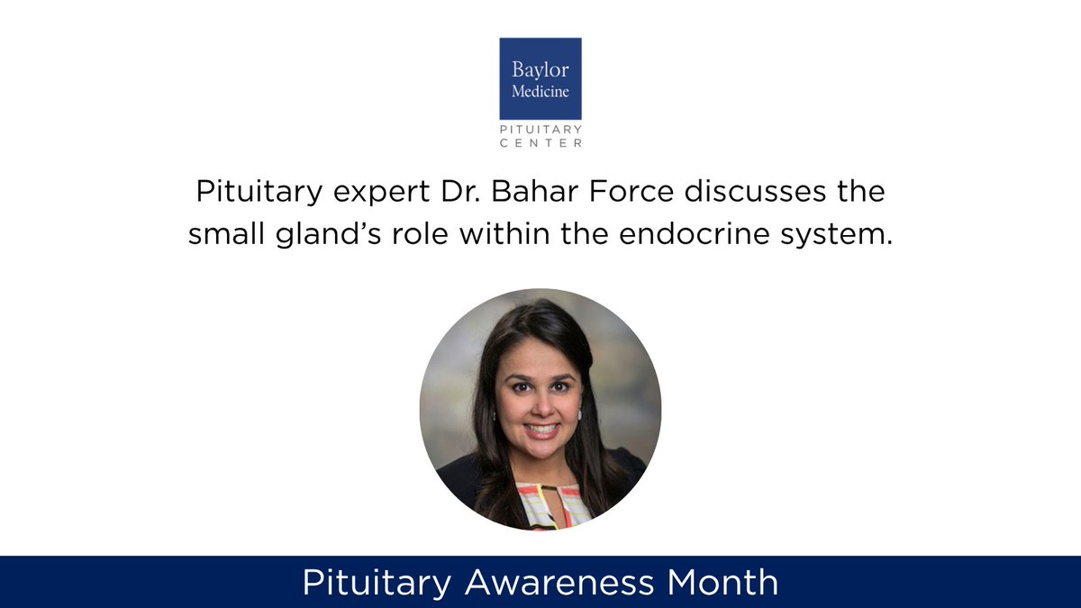 BCMNeurosurgery's tweet image. 𝘿𝙞𝙙 𝙮𝙤𝙪 𝙠𝙣𝙤𝙬?
October is #PituitaryAwarenessMonth!

We caught up with @BCMDeptMedicine #pituitary expert Dr. Bahar Force, who discusses this small but mighty gland and how the #BCMPituitaryCenter helps patients living with pituitary disorders, including tumors &amp;amp; more 🧠