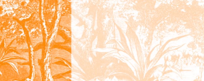 BCHCPB's tweet image. Three Parties have submitted their 5th National Report for the #biosafety Protocol: Ireland, Spain and Saint Vincent and the Grenadines - Parties can submit their 5th national report by 28 February 2026. 
🔗cbd.int/doc/notificati…

#LMOs #GMOs #biotech @wadzanayi14