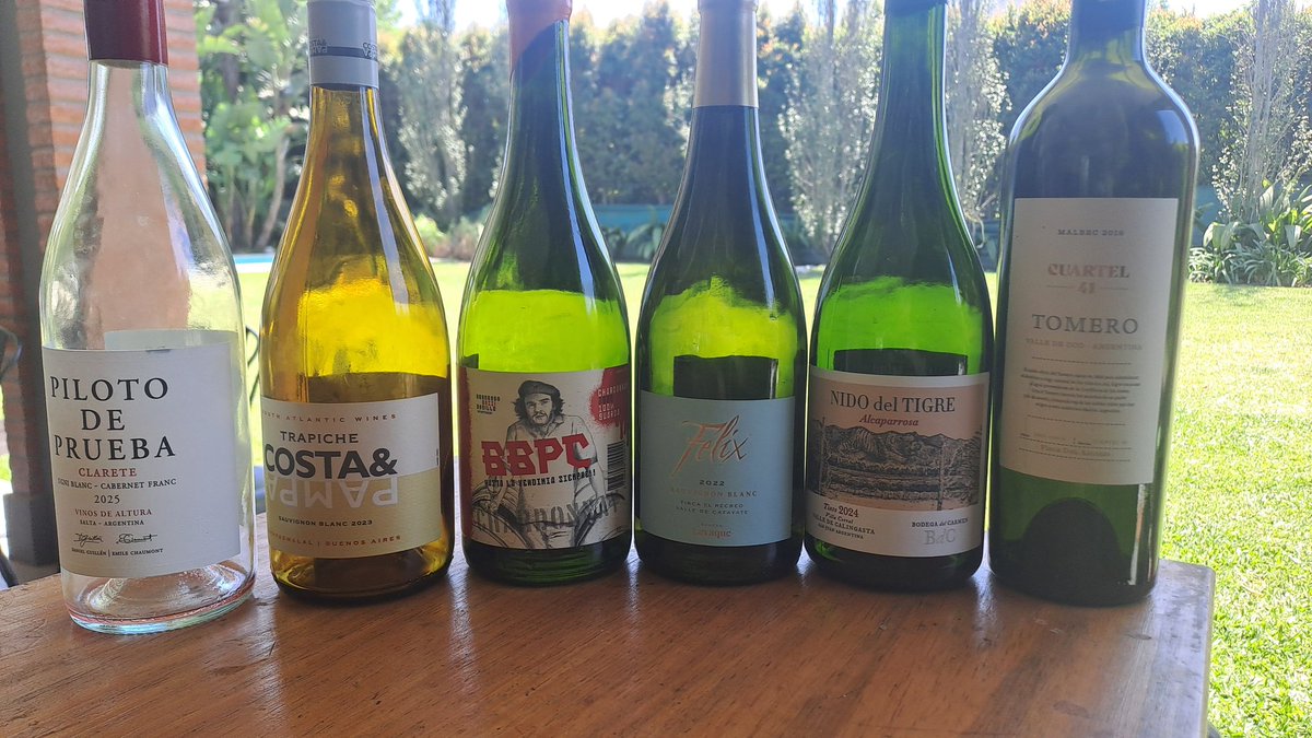 Botello - Arte en Vinos tweet media